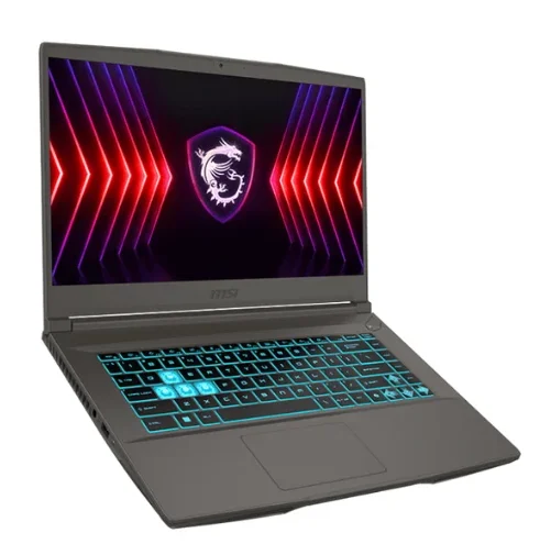 Notebook MSI Thin 15.6 Notebook MSI Thin 15B12UCX 15.6" FHD 144Hz Core i5-12450H 8Gb 512Gb RTX 2050 4Gb W11HP - Imagen 1